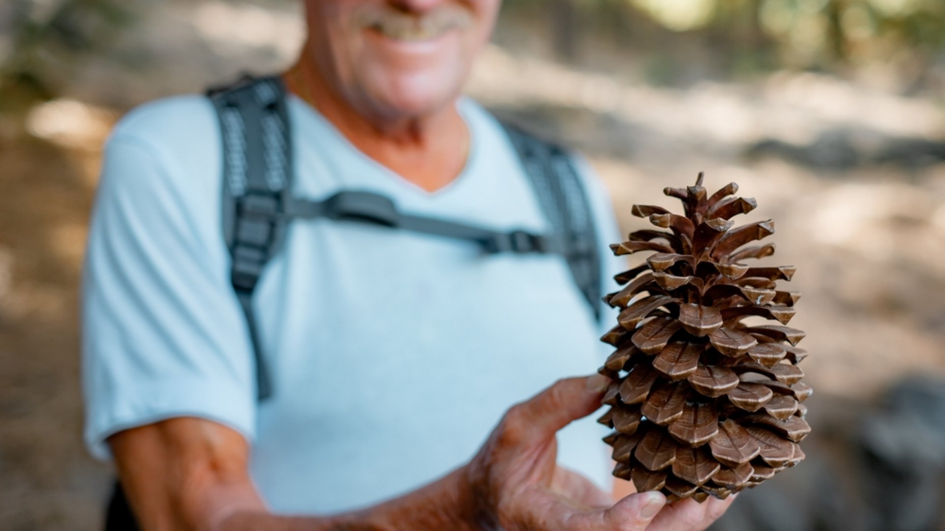 Tobozszüret a Follyban