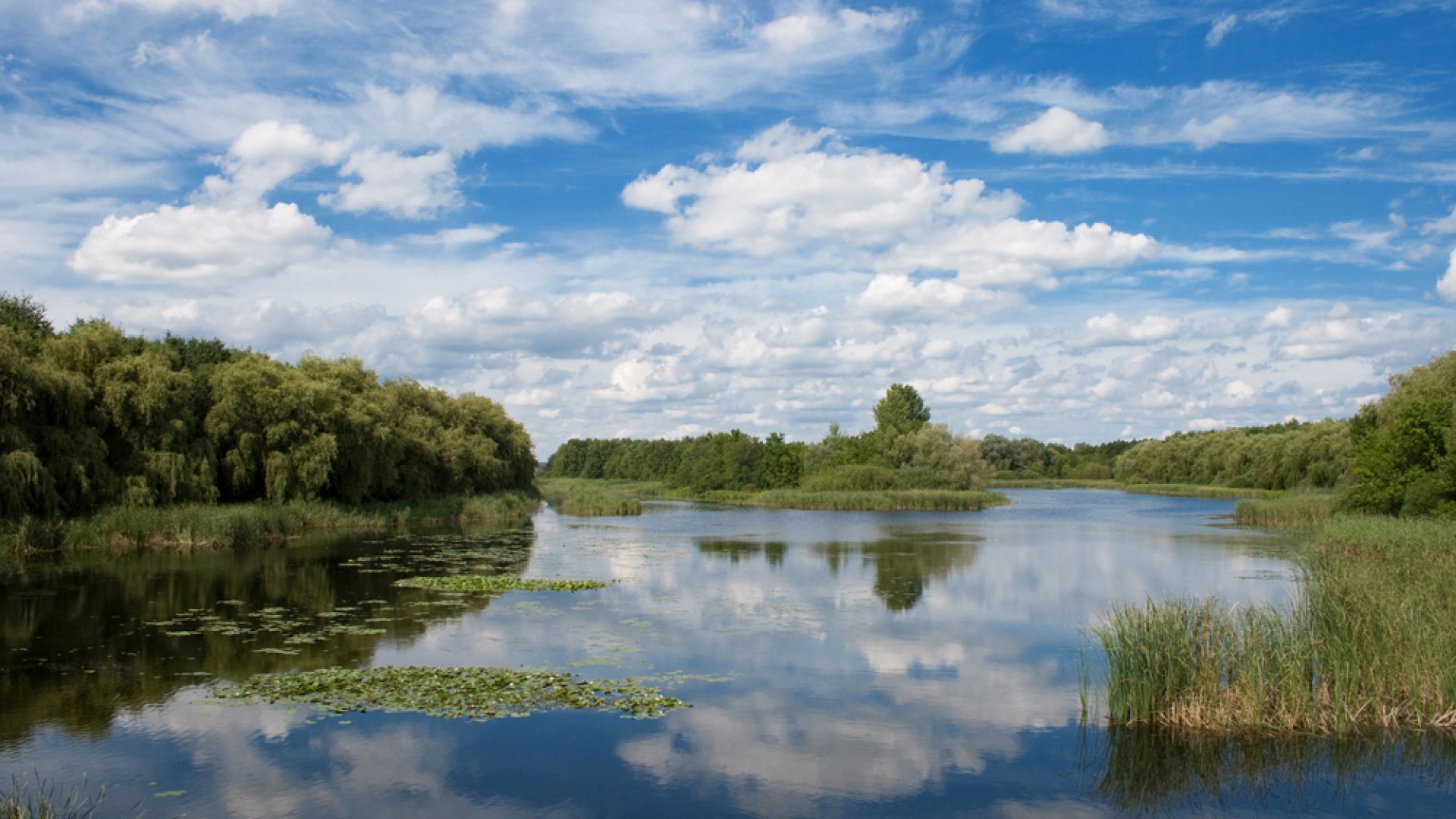 Balaton vízvédelmi projekt vízvédelem Balaton