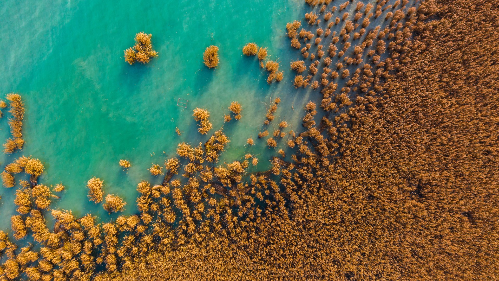 Túl nagy a szárazság! – Az unokáink már nem fognak a Balatonban fürdeni?