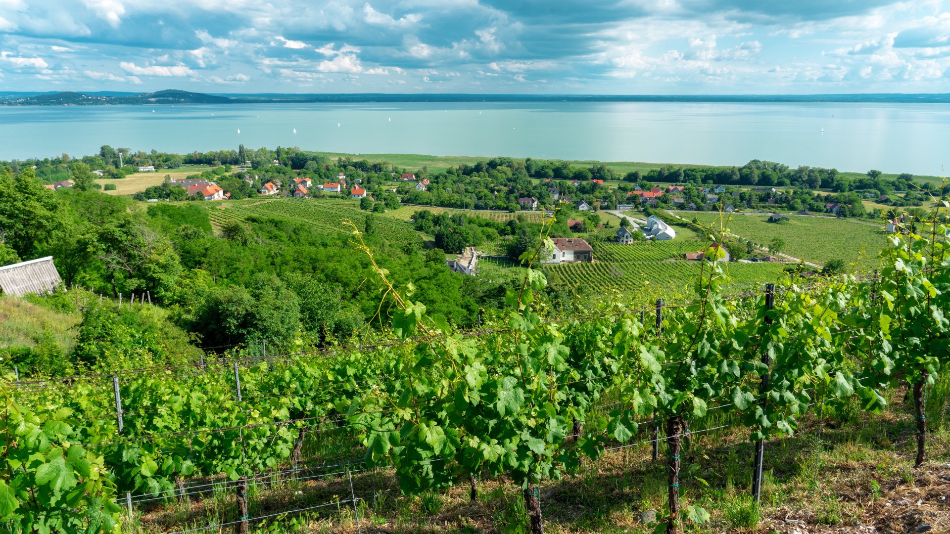 Legszebb balatoni falvak - Hegymagas Legszebb balatoni falvak