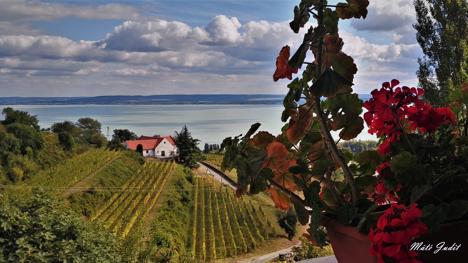Emlékház lesz Herczeg Ferenc egykori badacsonyi birtokán- a Balaton is megjelenik majd itt-ott
