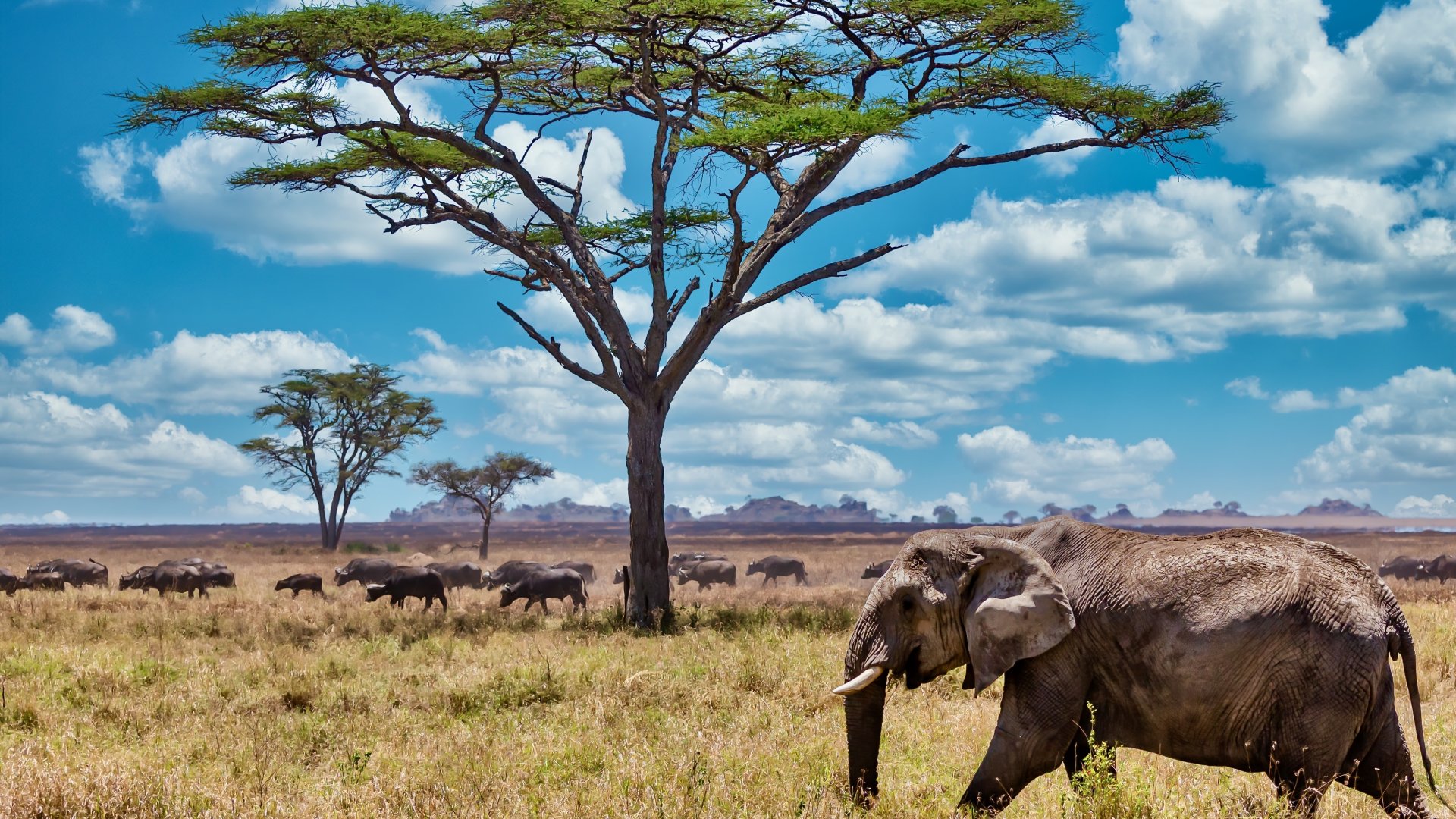 10 biztonságos afrikai ország A 10 legbiztonságosabb afrikai ország