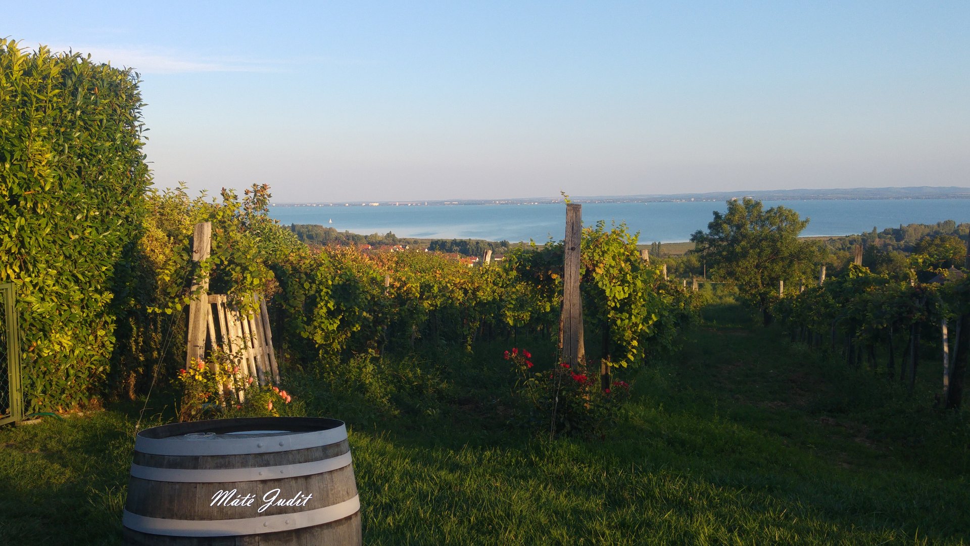 Csopaktól Szentbékkálláig ad koncerteket a hétvégén a Fesztiválzenekar zenés teherautója