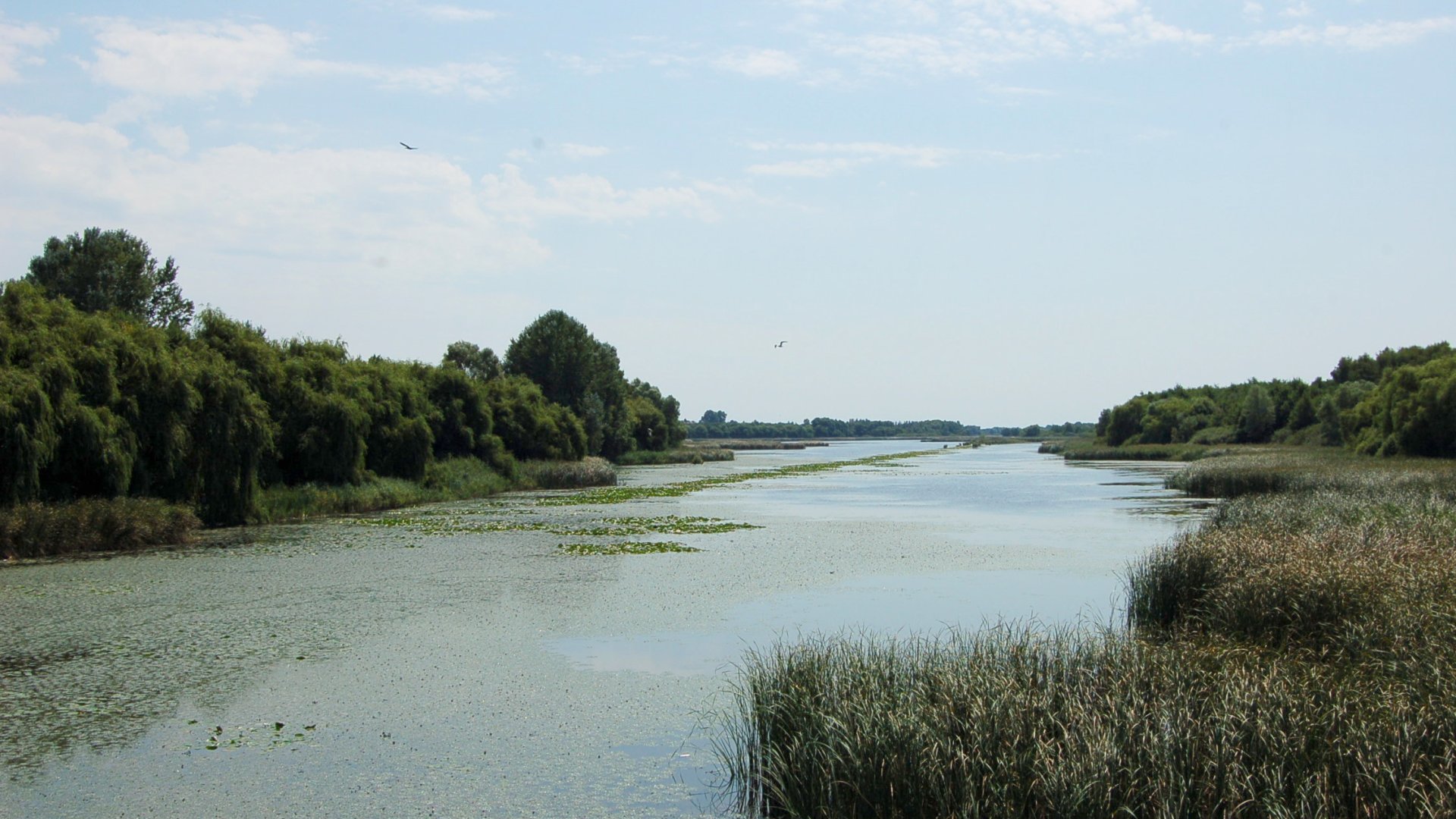 Így készülnek a hosszú hétvégére nemzeti parkjaink Őrségi Nemzeti Park