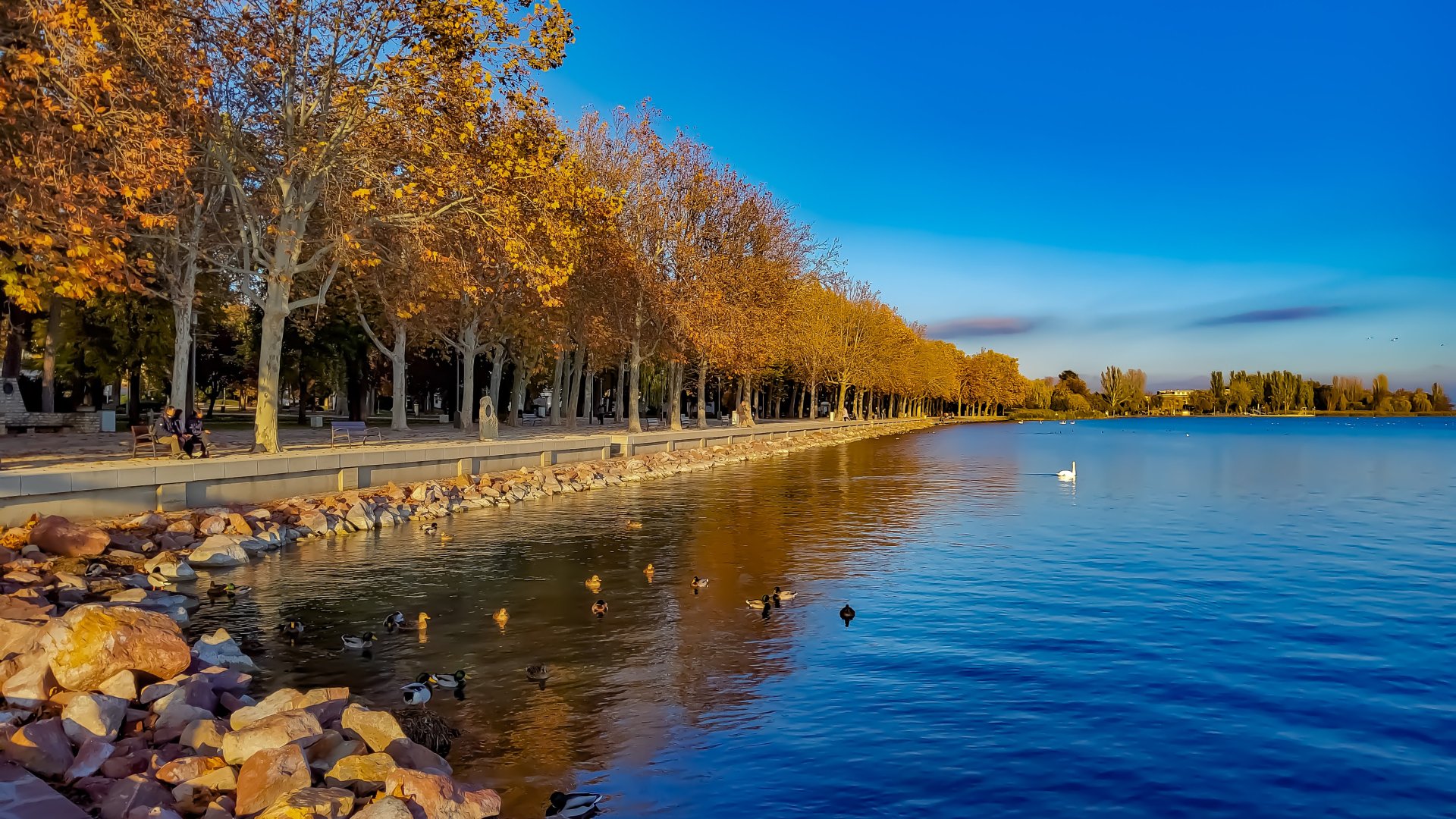 Kékszalag sétány épül Füreden, hogy minél nagyobb legyen a szabad partszakasz