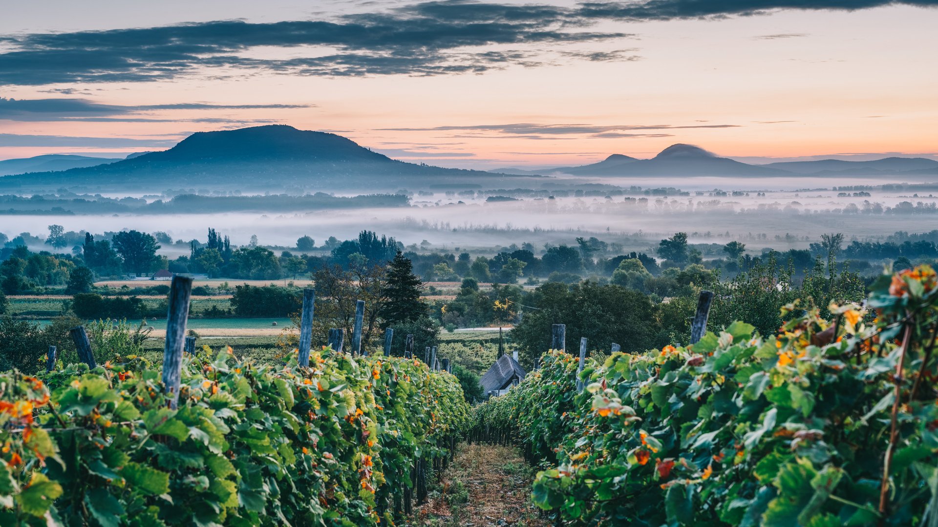 Érdemes-e áprilisban a Balatonhoz menni?
