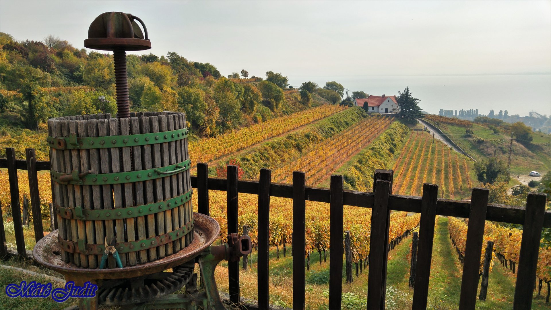 Ősz, bor, Badacsony- feledhetetlen élményekkel vár az őszi Badacsony 2020-ban is