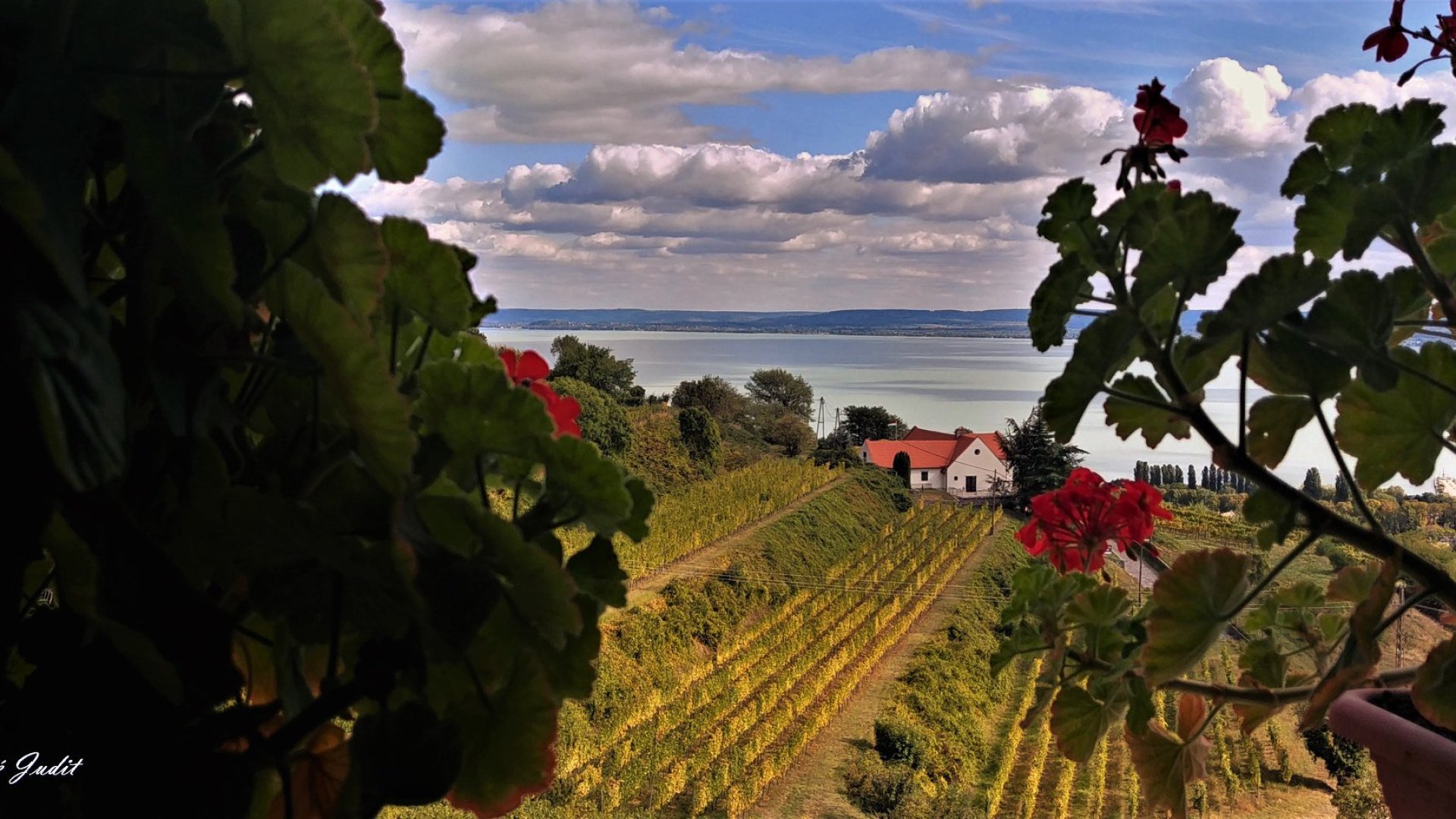 Nyárutó a Balatonnál: íme a 10+1 legjobb szeptemberi program a Balatonnál 2020-ban