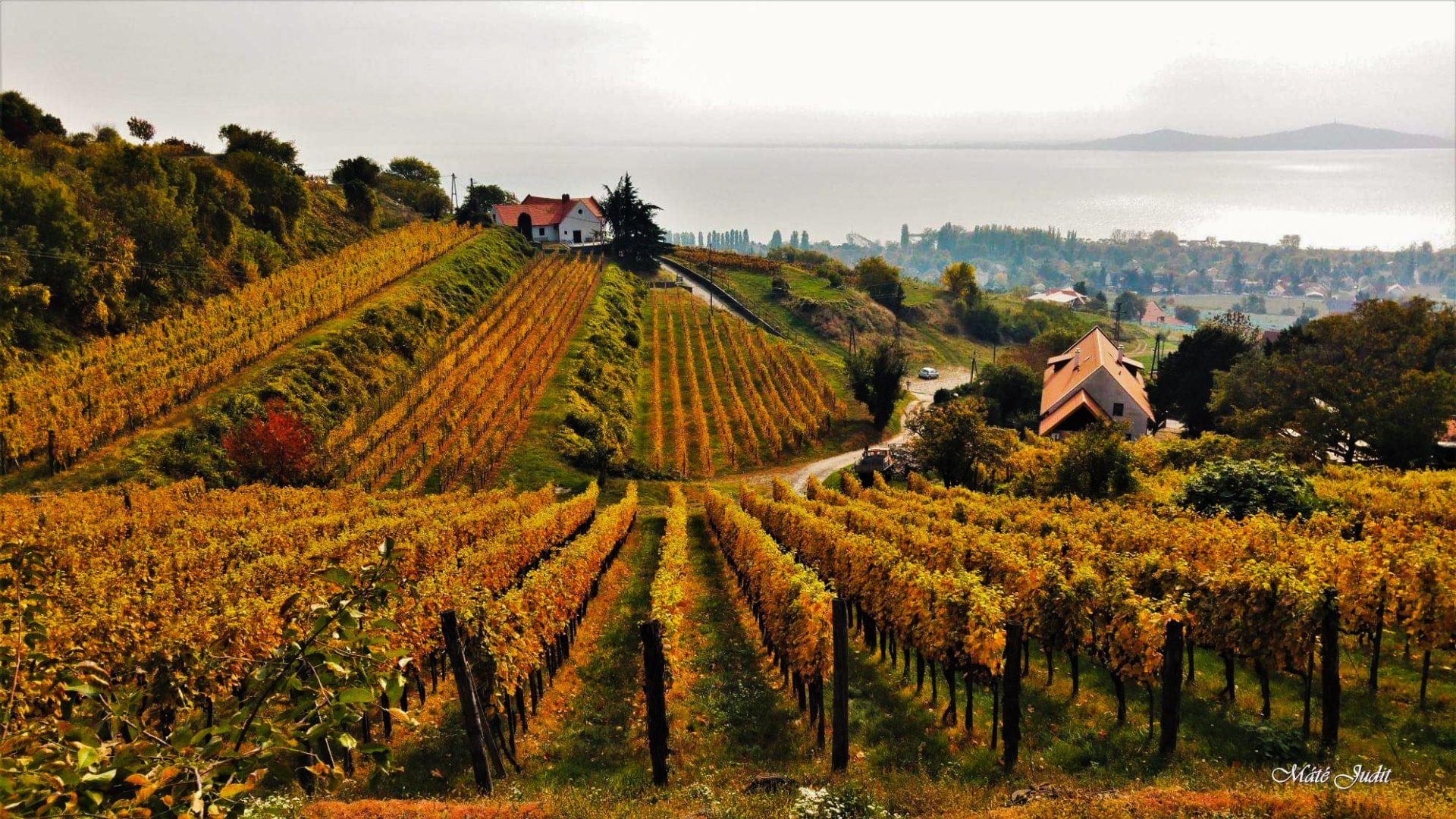 5 ok amiért ősszel (is) el kell utaznod a Balatonra 2021-ben