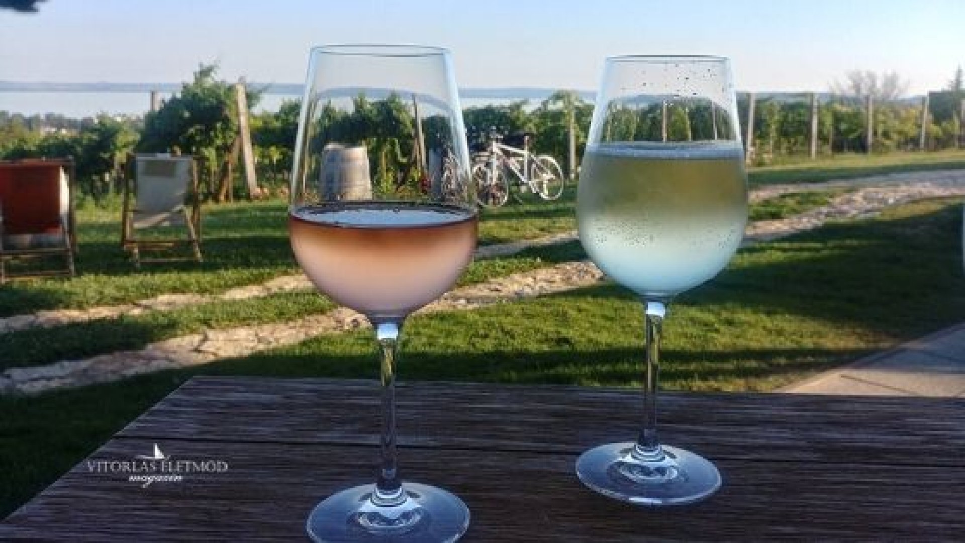A 10 legszebb panorámával rendelkező Balaton parti borozó A 10 legjobb Balaton parti borozó