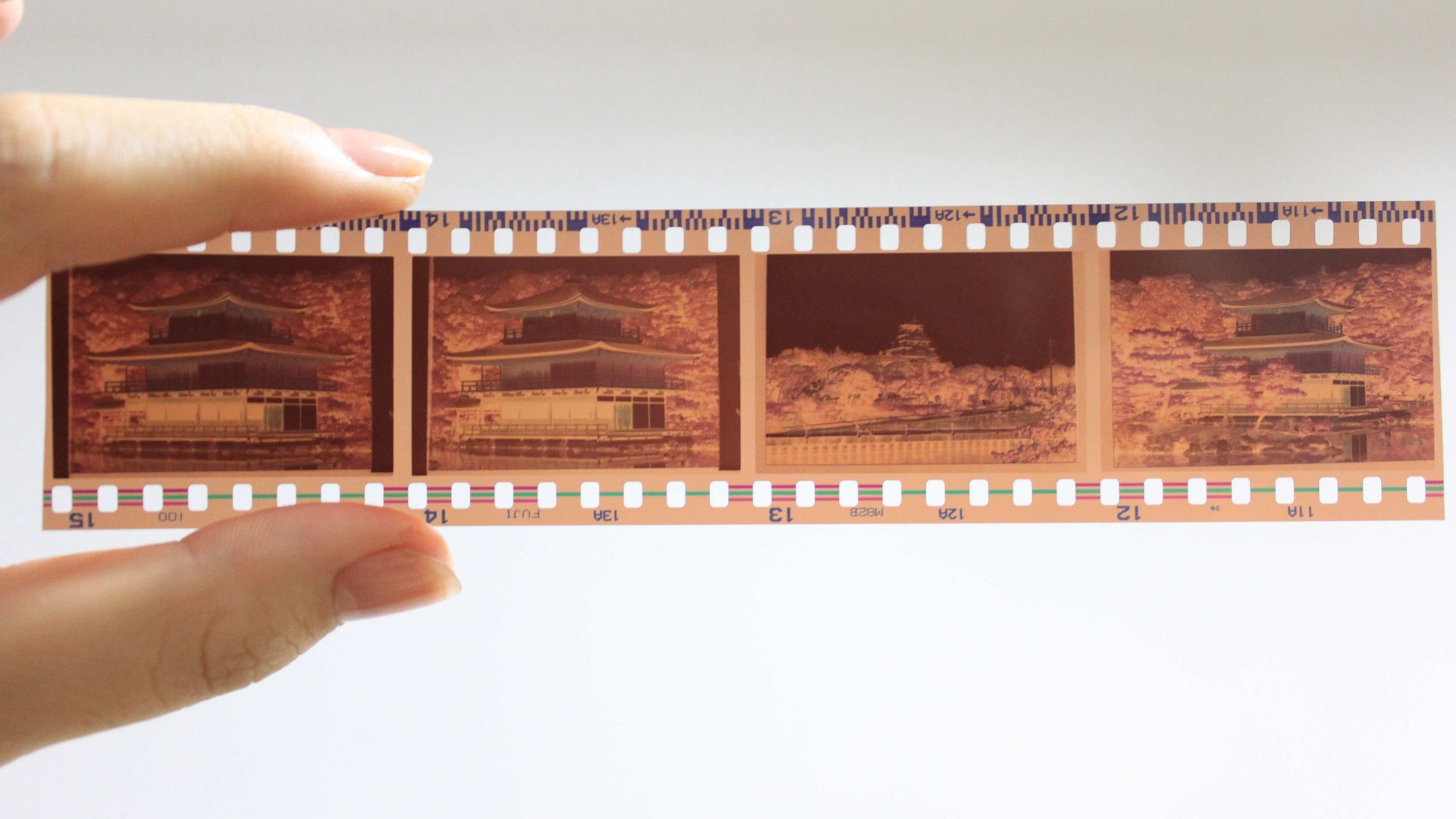 Top 7 utazós film a karantén idejére: a hét minden napjára jut egy