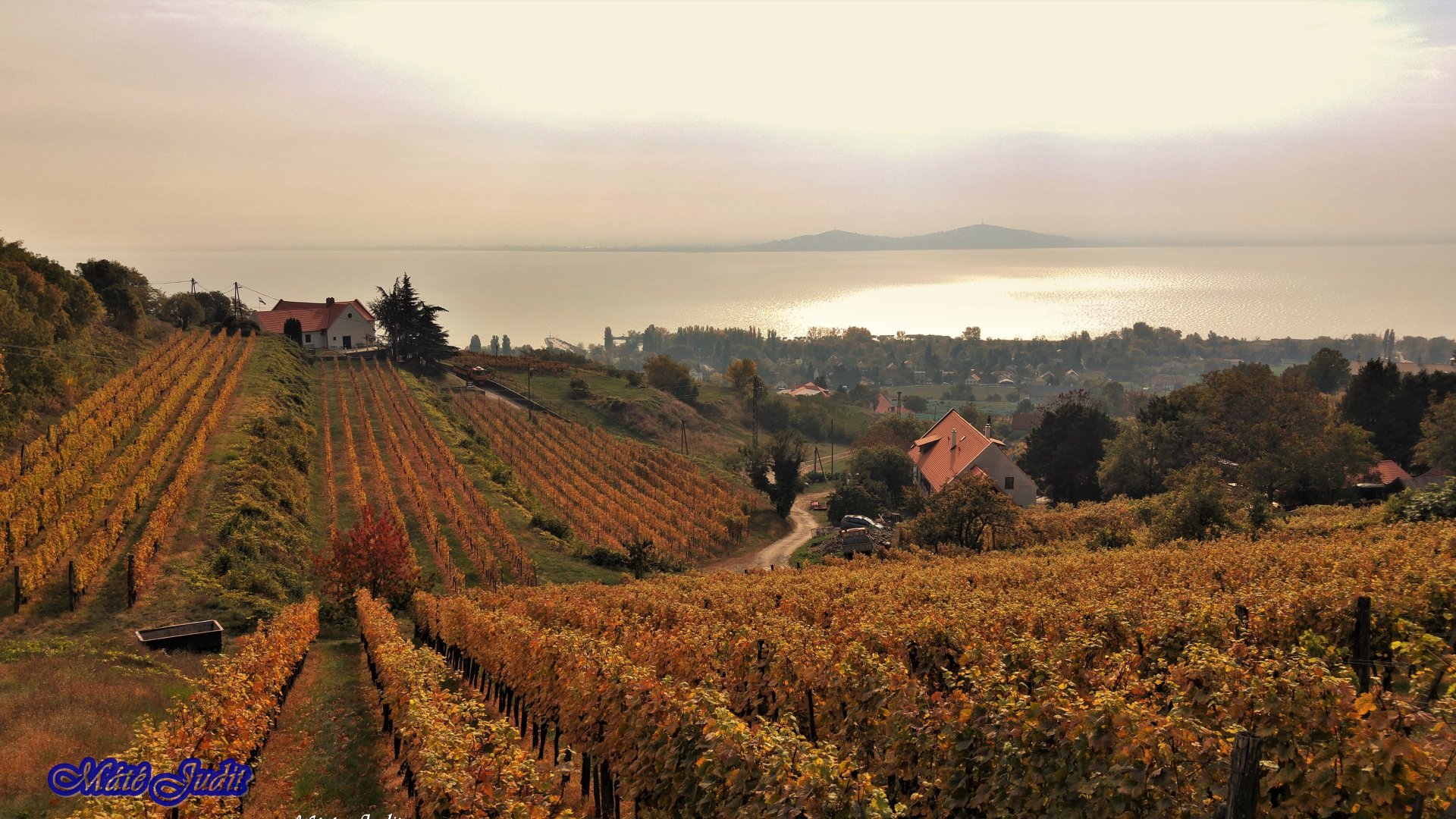 Legjobb őszi balatoni programok Őszi programok a Balatonon