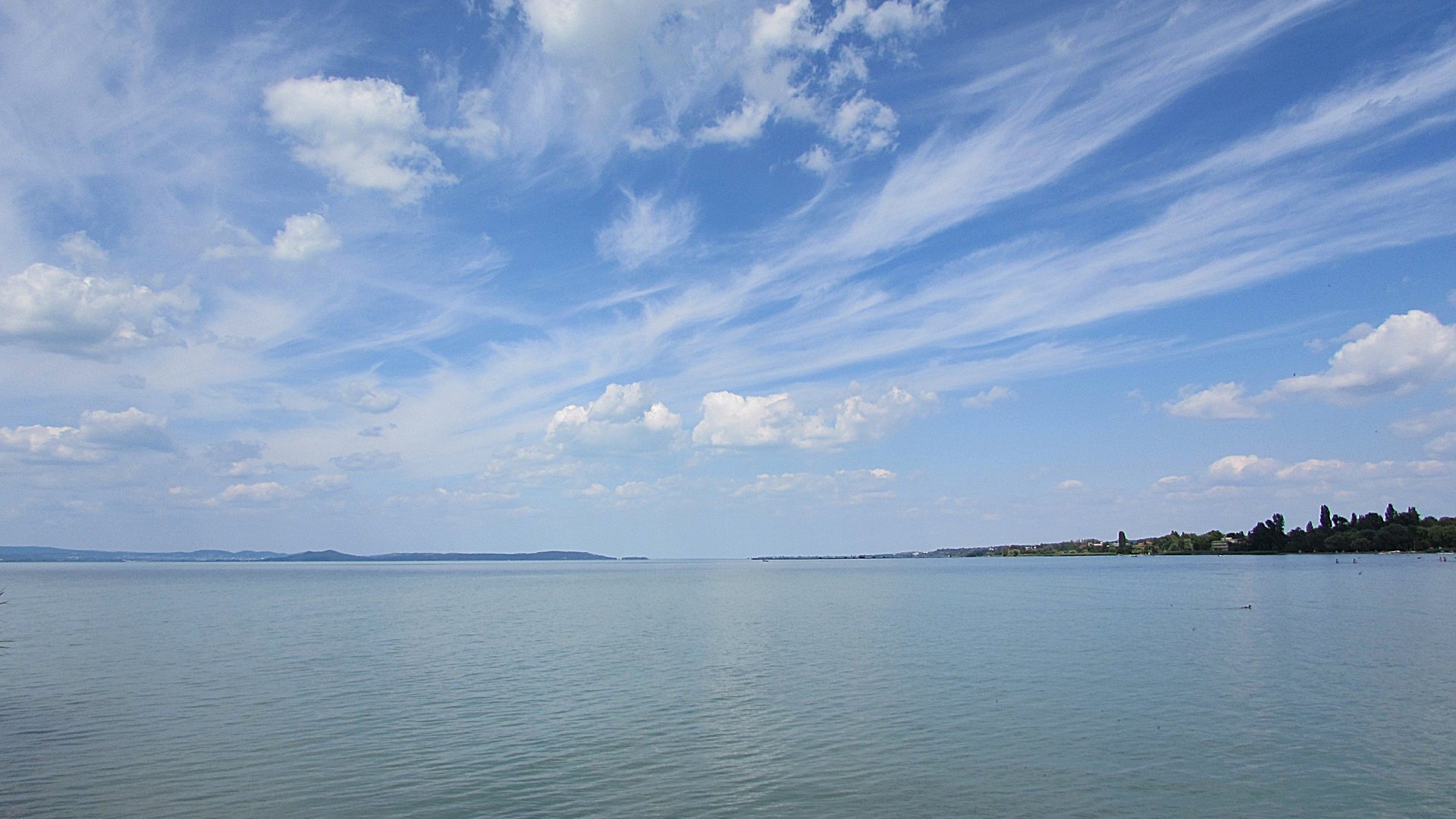 Mányoki Attila Balaton-átúszás