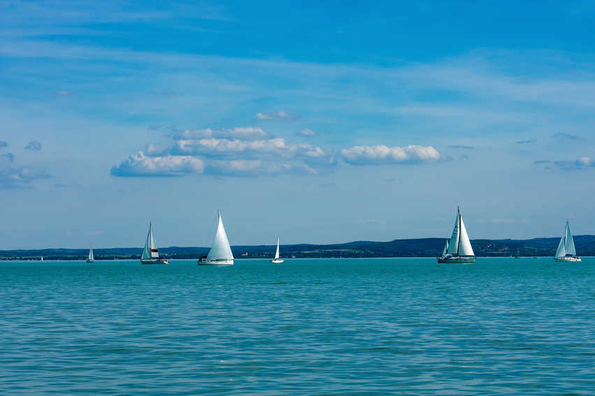 Kékszalag Port Nagydíj  2024