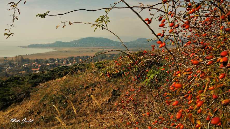 A legjobb őszi kirándulóhelyek a Balatonnál 2021