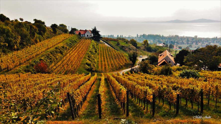 Balaton ősszel 2021