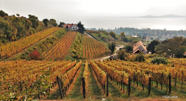 Érdemes-e októberben a Balatonhoz menni?