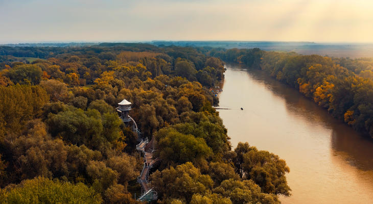 Makói lombkorona sétány