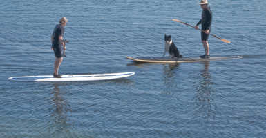 Bevezetés a Stand up paddle surf világába