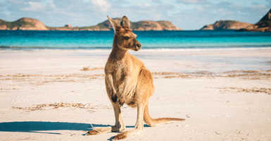 10 érdekes tény Ausztráliáról