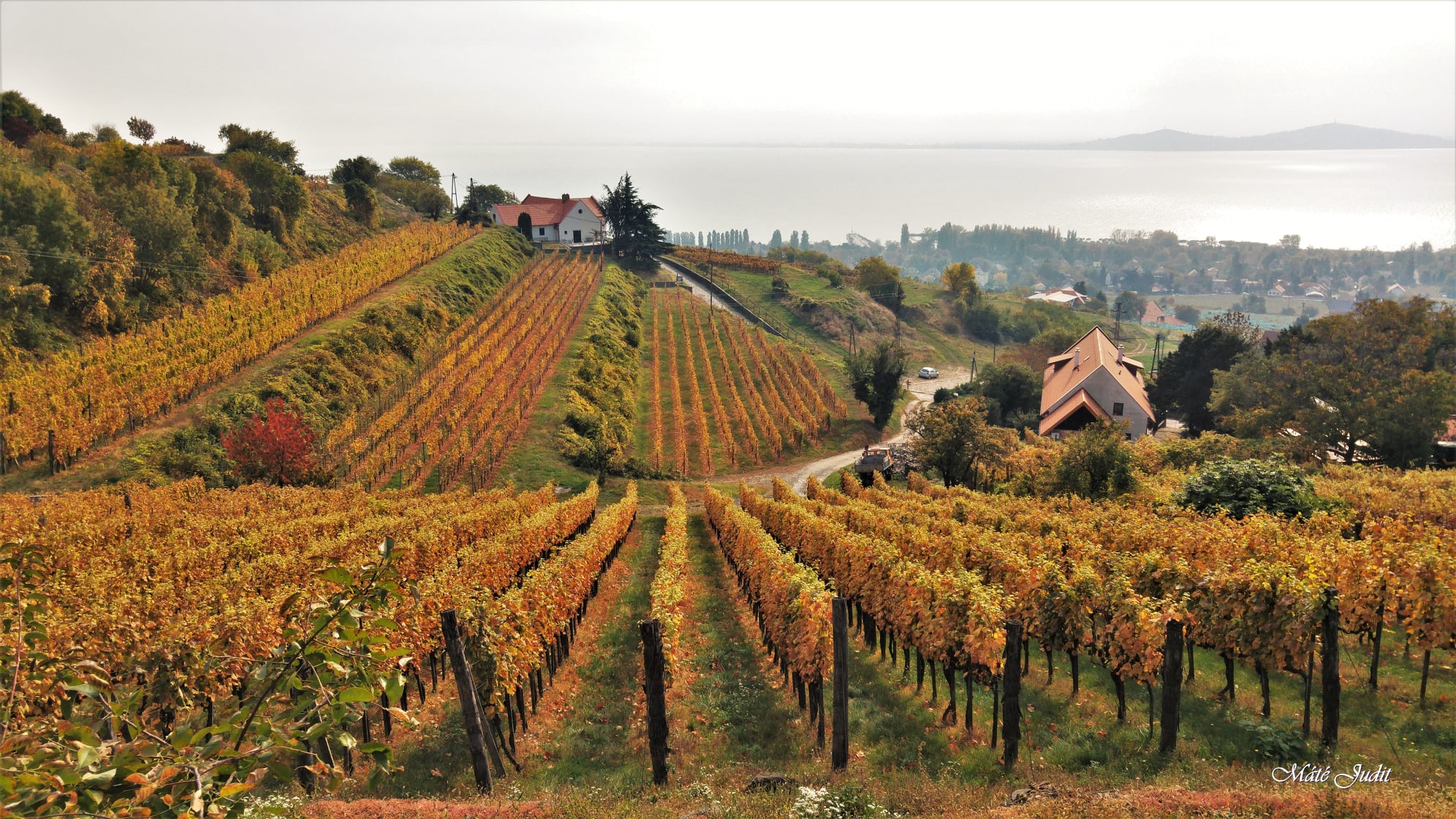 Őszi Balaton