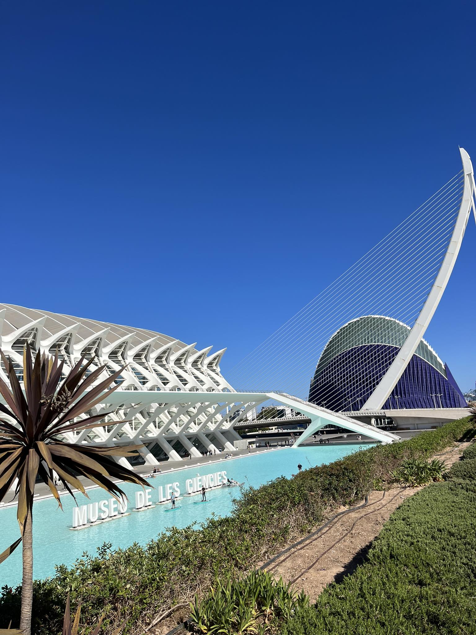 El Museu de les Ciències Príncipe Felipe