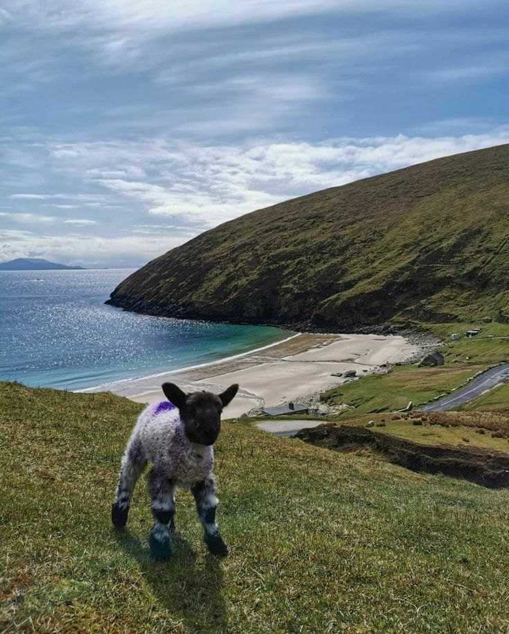 Achill island